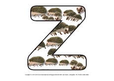 Igelbuchstaben-Z.pdf
